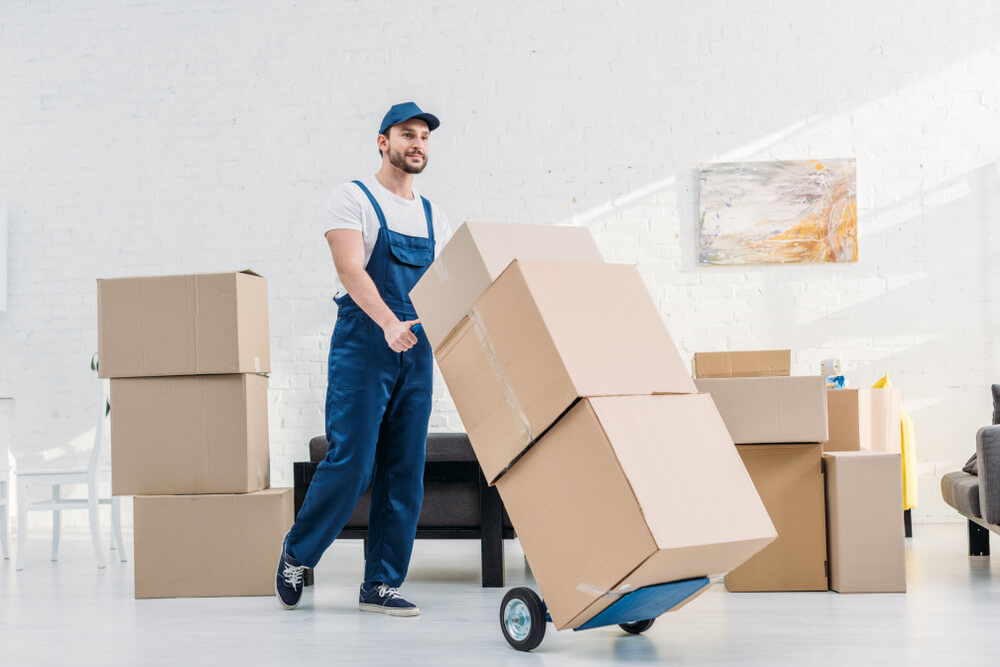 Professional Movers Lake Helen