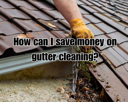 Gutter packed with leaves, needs cleaning.